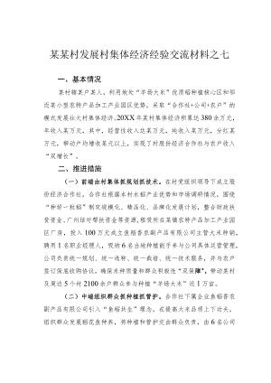 某某村发展村集体经济经验交流材料之七.docx