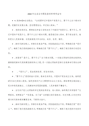 2022年生活会对照检查材料常用金句.docx
