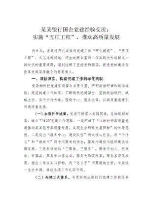 某某银行国企党建经验交流：实施“五项工程”推动高质量发展.docx