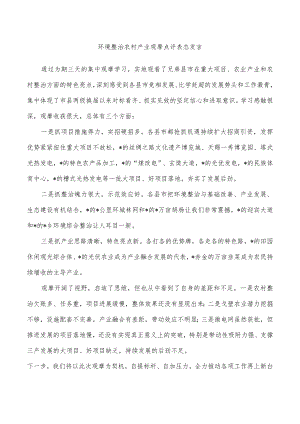 环境整治农村产业观摩点评表态发言.docx