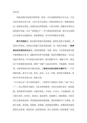 研讨发言：更好统筹发展和安全.docx