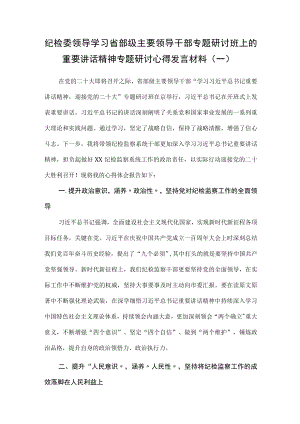 （2篇）省部级主要领导干部专题研讨班上的重要讲话精神专题研讨心得发言材料.docx