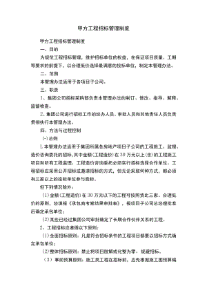 甲方工程招标管理制度.docx