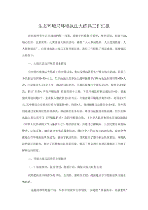 生态环境局环境执法大练兵工作汇报.docx