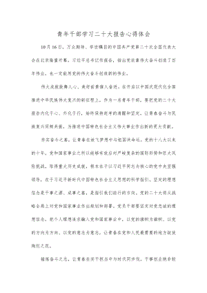 青年干部学习二十大报告心得体会.docx