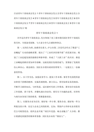 青年干部座谈会发言汇编（10篇）.docx