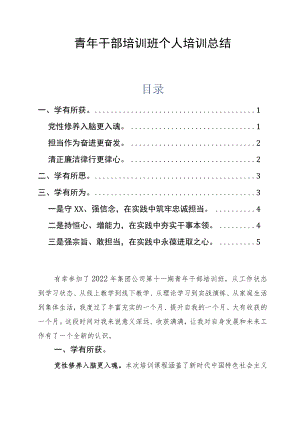 青年干部培训班个人培训总结通用版.docx