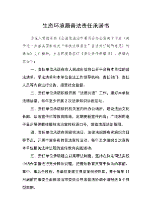 生态环境局普法责任承诺书.docx