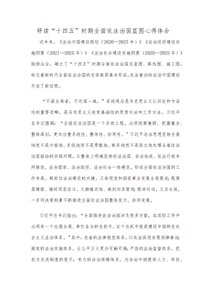 研读“十四五”时期全面依法治国蓝图心得体会.docx