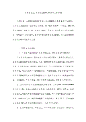 团区委2022年工作总结和2023年工作计划.docx