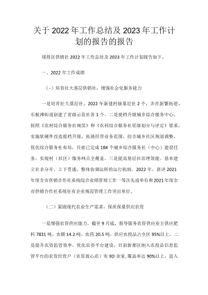 关于2022年工作总结及2023年工作计划 的报告的报告.docx
