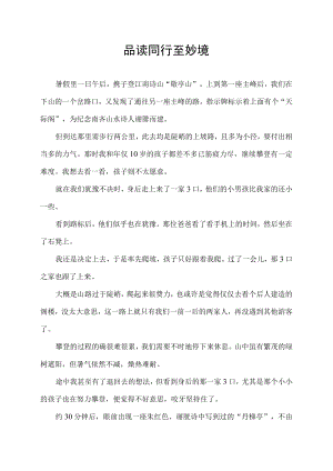 品读 同行至妙境.docx