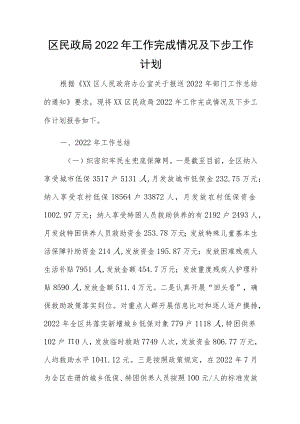 区民政局2022年工作完成情况及下步工作计划.docx