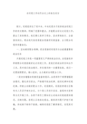 在巡视工作动员会议上的表态发言.docx
