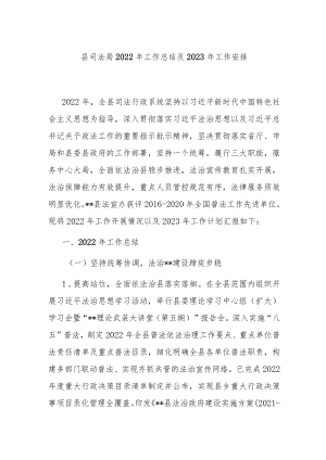 县司法局2022年工作总结及2023年工作安排.docx