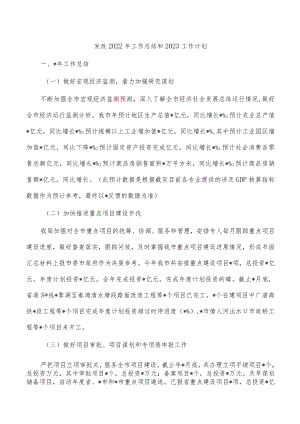 发改2022年工作总结和2023工作计划.docx