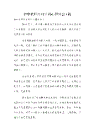 初中教师岗前培训心得体会3篇.docx
