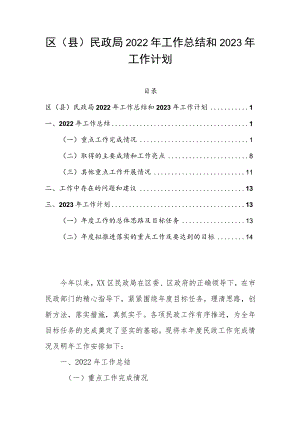 区（县）民政局2022年工作总结和2023年工作计划.docx
