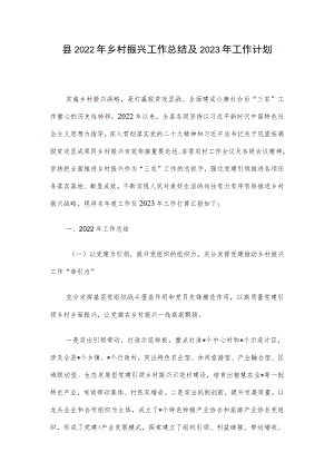 县2022年乡村振兴工作总结及2023年工作计划.docx