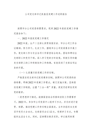 公司党支部书记抓基层党建工作述职报告.docx