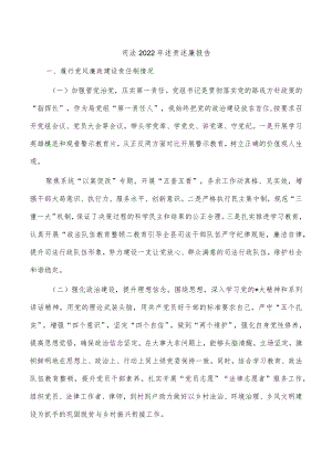 司法2022年述责述廉报告.docx