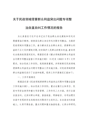 关于民政领域侵害群众利益突出问题专项整治自查自纠工作情况的报告.docx