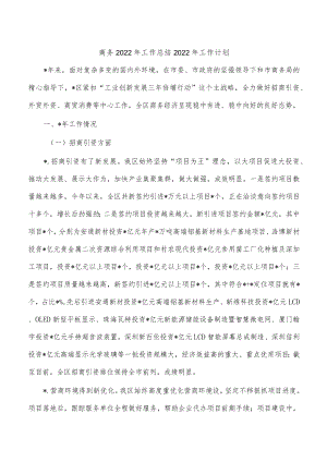 商务2022年工作总结2022年工作计划.docx