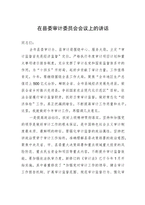 在县委审计委员会会议上的讲话.docx