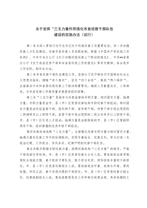 关于发挥“三支力量”作用强化市县巡察干部队伍建设的实施办法（试行）.docx