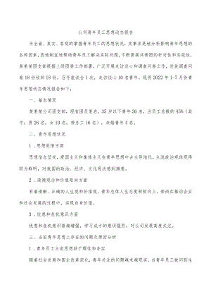 公司青年员工思想动态报告.docx