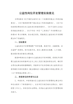 公益性岗位开发管理实施意见.docx