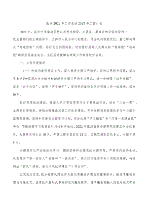 医保2022年工作总结2023年工作计划.docx