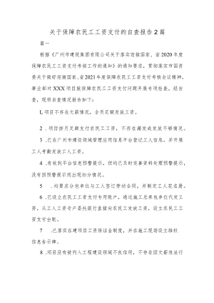 关于保障农民工工资支付的自查报告2篇.docx