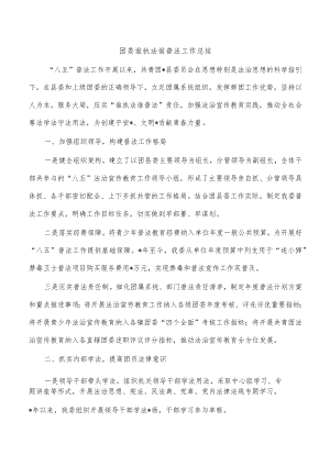 团委谁执法谁普法工作总结.docx