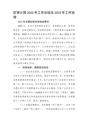 区审计局2022年工作总结及2023年工作安排.docx