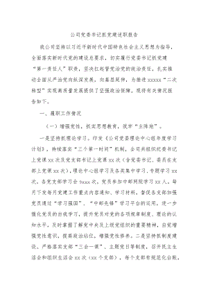 国企党委书记抓党建述职报告.docx