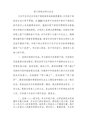 团干部培训研讨发言.docx
