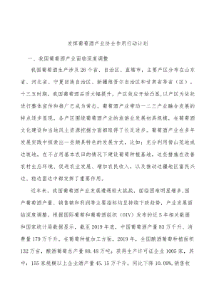 发挥葡萄酒产业协会作用行动计划.docx