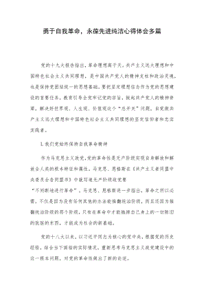 勇于自我革命永葆先进纯洁心得体会多篇.docx