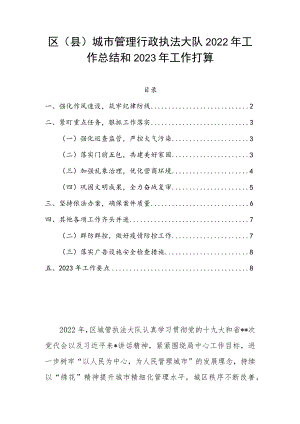 区（县）城市管理行政执法大队2022年工作总结和2023年工作打算.docx
