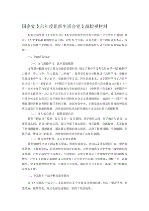 国企党支部年度组织生活会党支部检视材料.docx