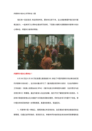 内部审计培训心得体会.docx