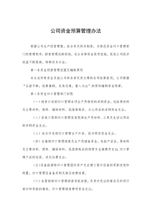 公司资金预算管理办法.docx