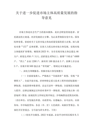 关于进一步促进市场主体高质量发展的指导意见.docx
