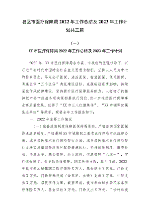 县区市医疗保障局2022年工作总结及2023年工作计划共三篇.docx