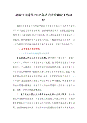 县医疗保障局2022年法治政府建设工作总结.docx