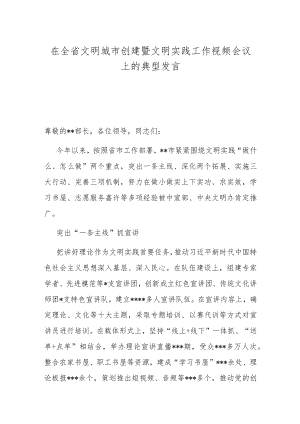 在全省文明城市创建暨文明实践工作视频会议上的典型发言.docx