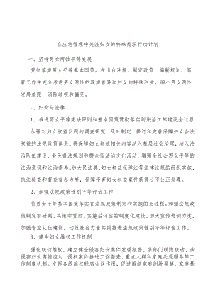 在应急管理中关注妇女的特殊需求行动计划.docx