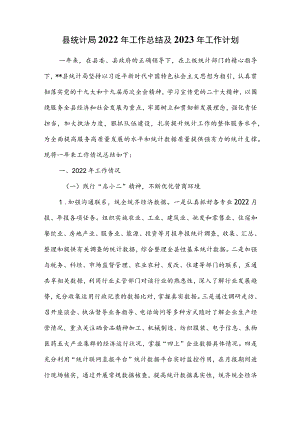 县统计局2022年工作总结及2023年工作计划.docx