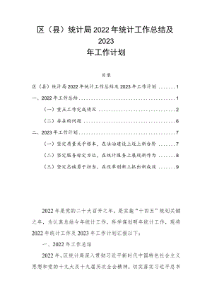 区（县）统计局2022年统计工作总结及2023年工作计划.docx